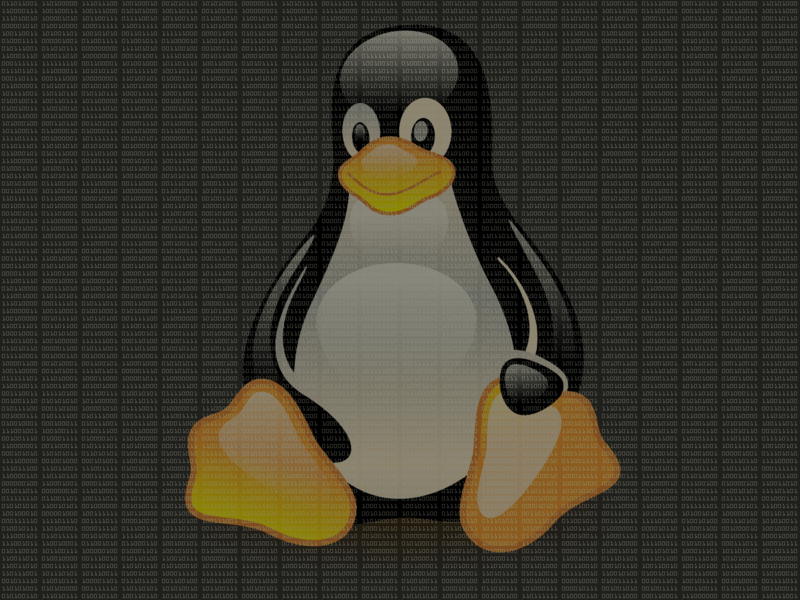 Datei:NewBinaryPenguin.png