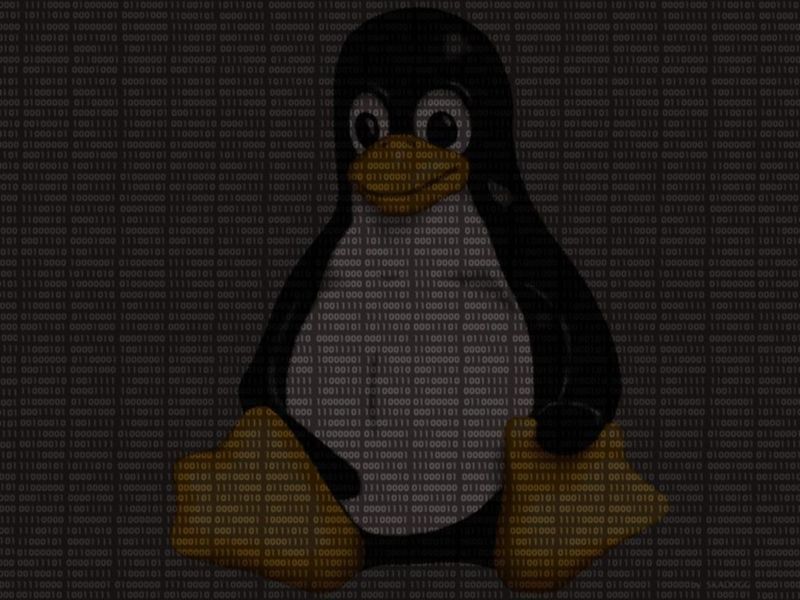 Datei:Binary penguin.jpg